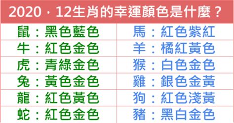 生肖幸運色|2022十二生肖開運必看！幸運色、幸運數字、吉利方。